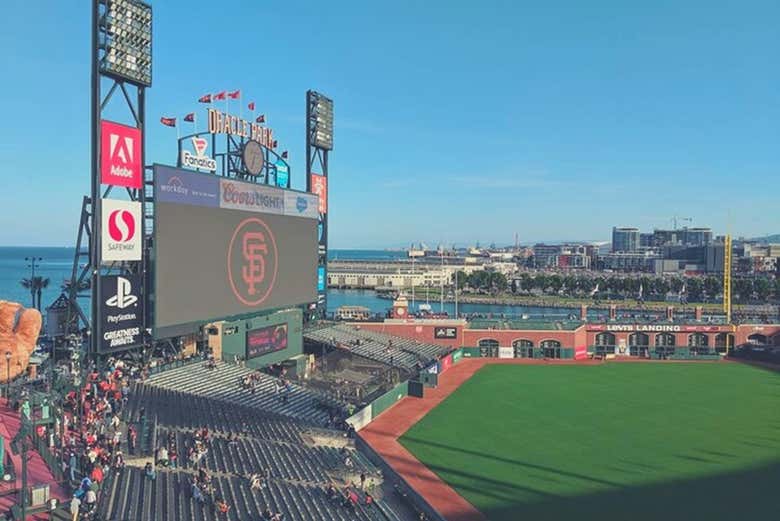 Vivrete l'emozione unica del baseball!