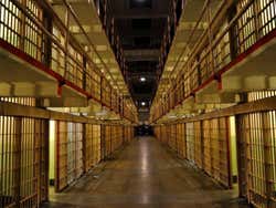 Alcatraz, celle