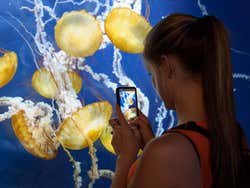Aquarium of the Bay, San Francisco