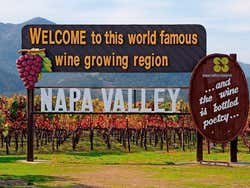 Regione di Napa Valley