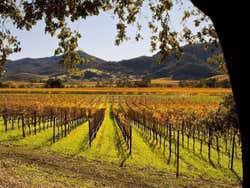 Napa Valley