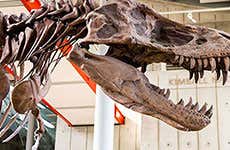 Guida di San Francisco