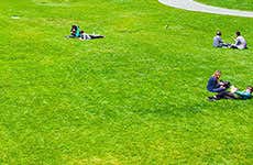 Guida di San Francisco